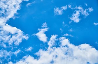 10 Air Quality Tips for Summer to Make the Air Breathable